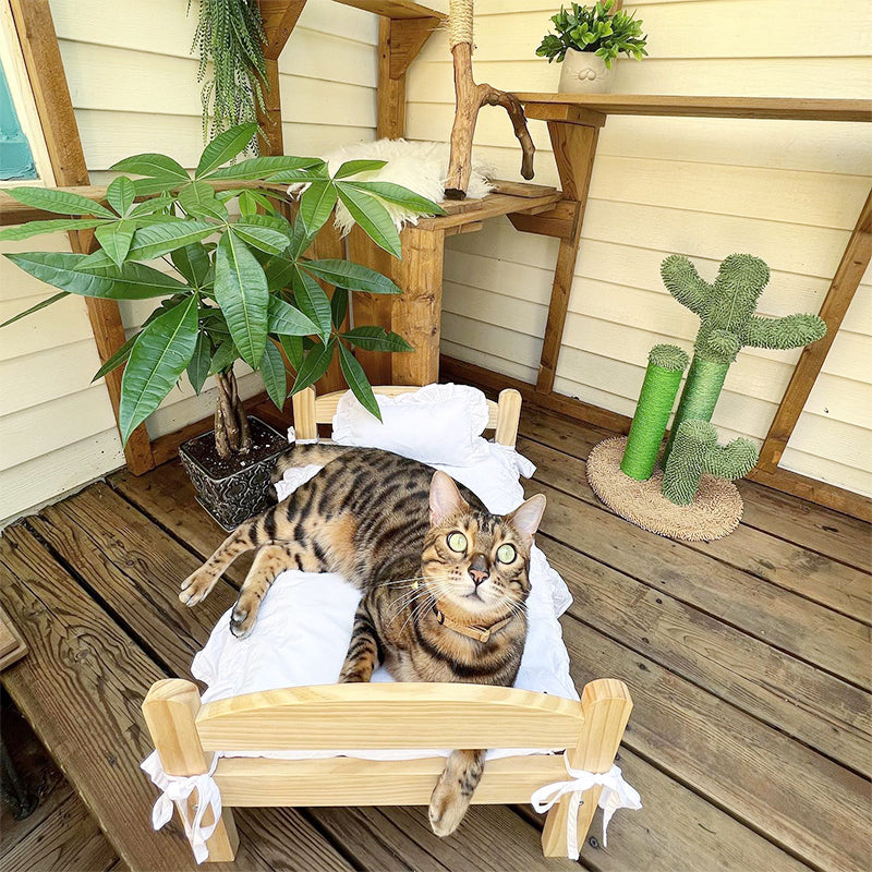 Adorable Wooden Cat Bed