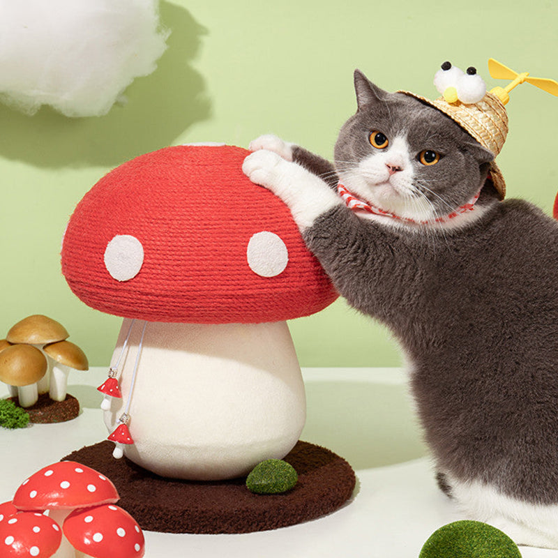 Mushroom Cat Scratcher