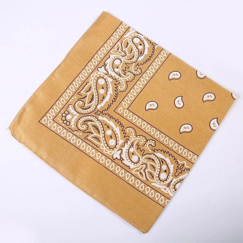 Unisex Hip-Hop Paisley Polyester Bandanas