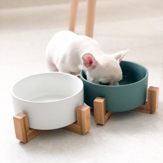 Ceramic Bowl with Wooden Stand in Green