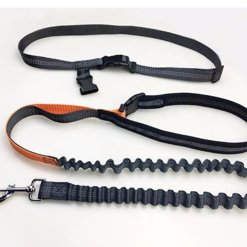 Waist Pet Dog Leash