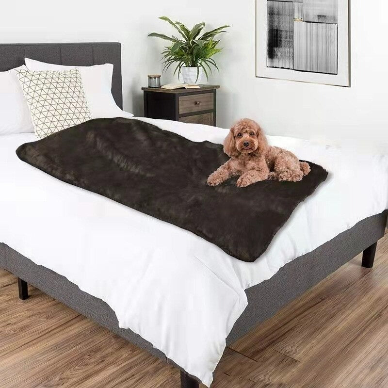 Velvet Dog Blanket