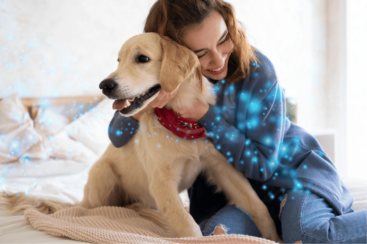 🔥Last Day Promotion 49% OFF-Pet sedative