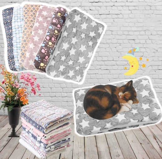 🔥Winter Sale 49% OFF - Cosy Calming Cat Blanket