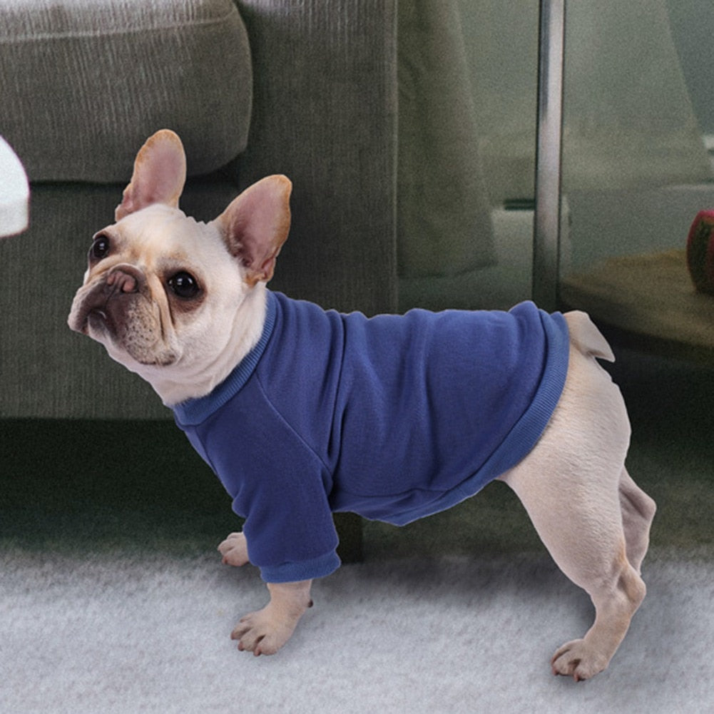 Multi-Color Warm Dog Hoodie