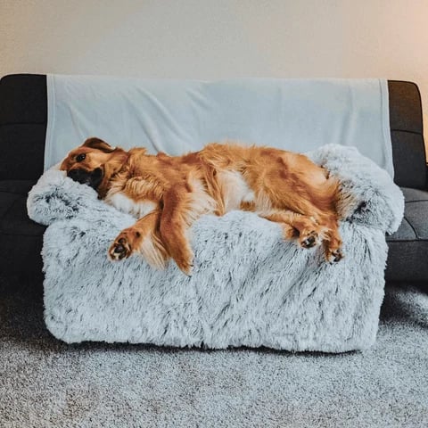 🔥Free shipping🔥Calming Furniture Protector (for pets!)