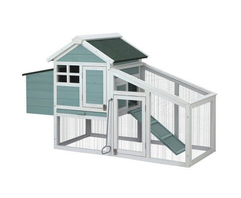 Modern Wooden Outdoor Rabbit Run Enclosure in Mint