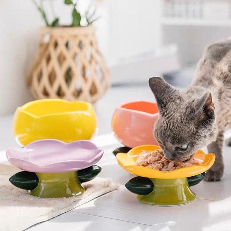 Camily Bowls｜Dog Bowls & Cat Bowls