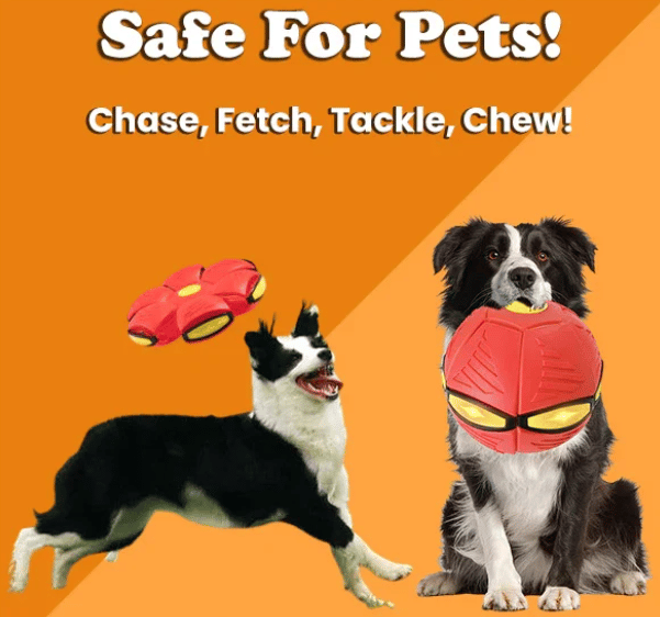 🔥LAST DAY 49% OFF🔥💥The Doggy Disc Ball💞