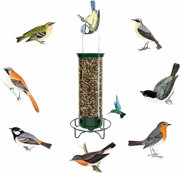 🔥Hot Sale 49% OFF🐦Squirrel-Proof Bird Feeder💥Buy 2 Get Free Shipping