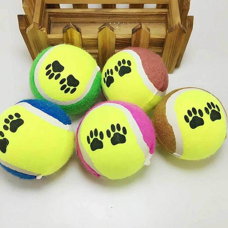 Tennis Balls Run Fetch Toys