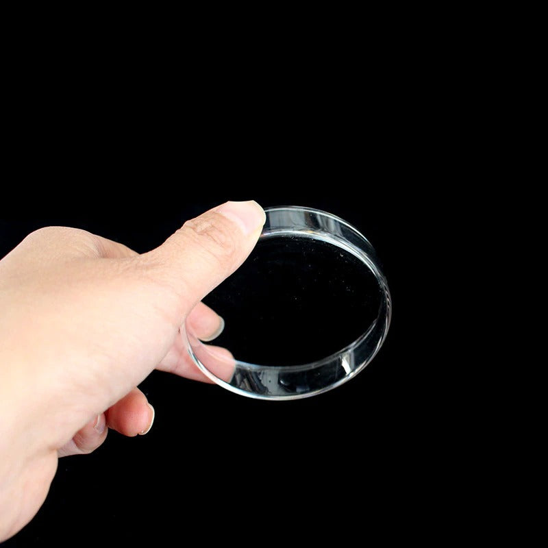Shrimp Clear Glass Feeding Bowl For Aquarium