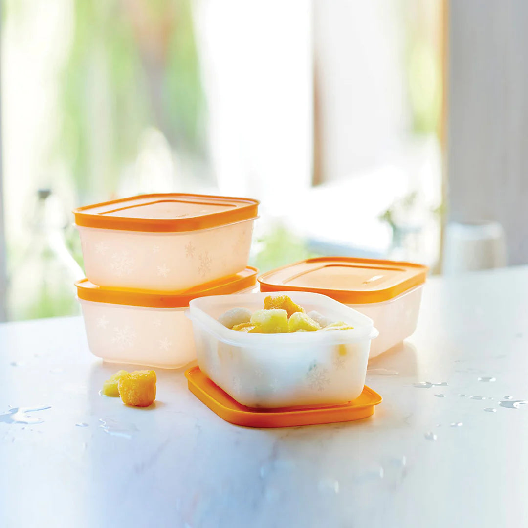 FREEZER KEEPER SMALL LOW - FREEZER CONTAINERS (4 PACK)