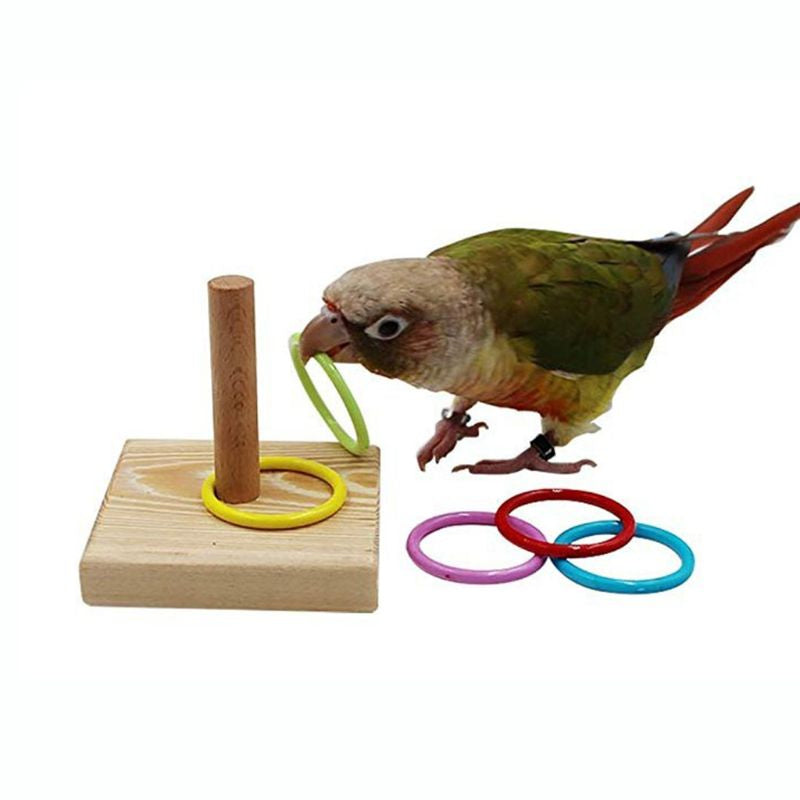 Wooden Bird Toy Parrot