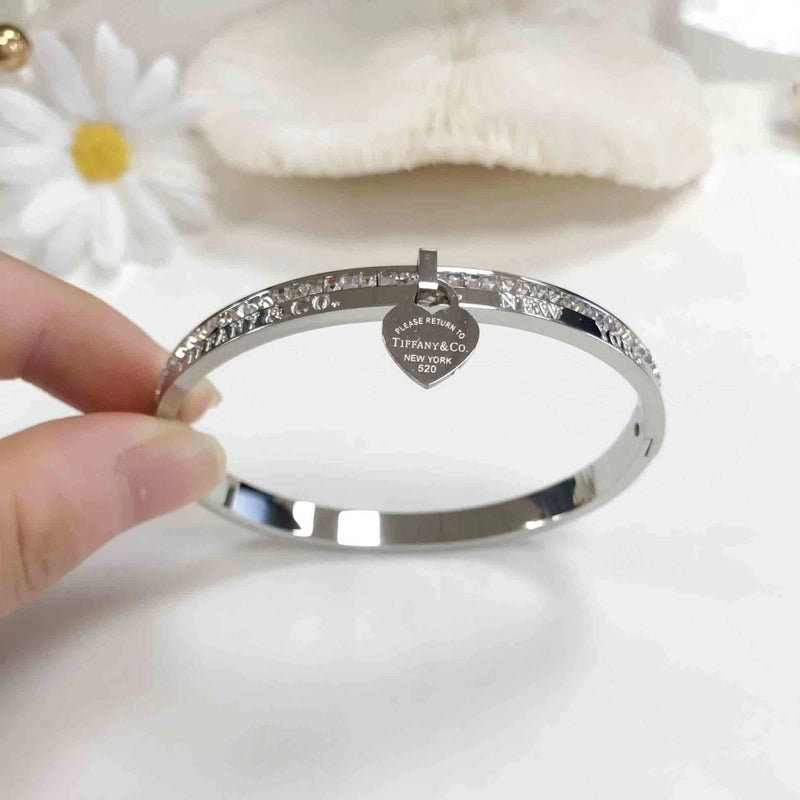 Minimalist Roman Style Round Titanium Steel Inlay Zircon Bangle