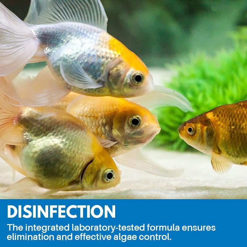 🐟Aquarium Purifying Powder