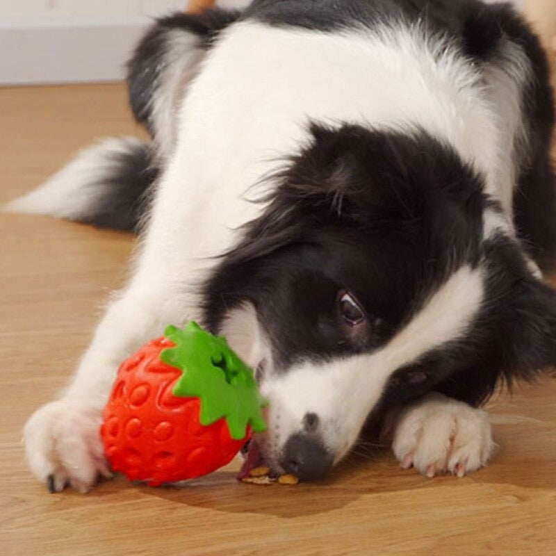 Dog Chew Toys Rubber Strawberry Balls