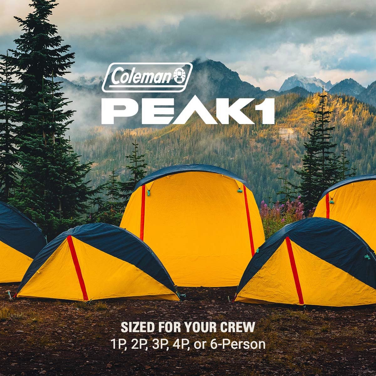 PEAK1™ 6-Person Dome Tent​