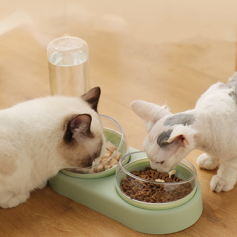 Double Bowls Feeding Container