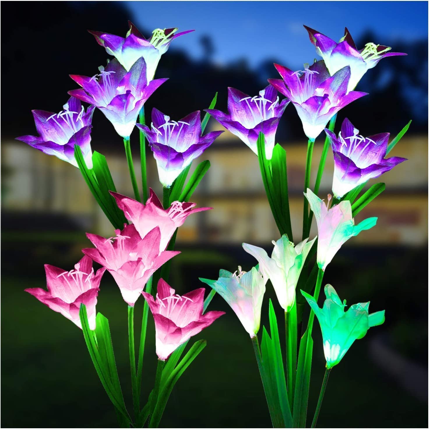 💐Solar Garden Lights with Bigger Lily Flowers