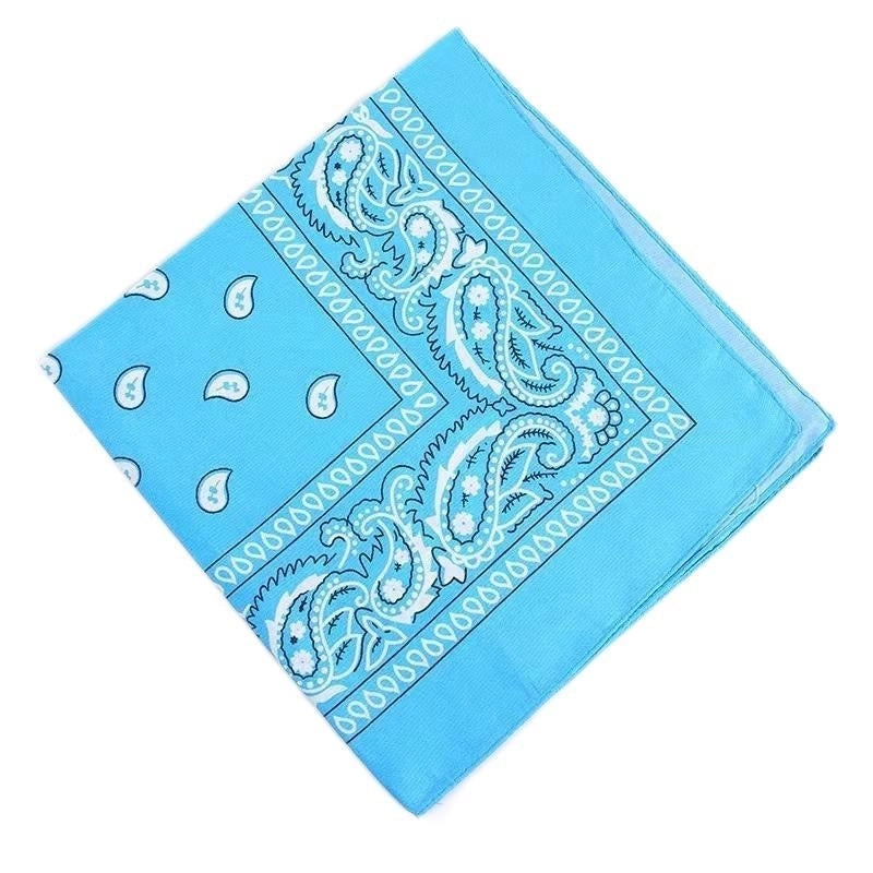 Supply Spot Batch Of Polyester 21g Cashew Flower Scarf Paisley Hip-hop Hip-hop Outdoor Polyester