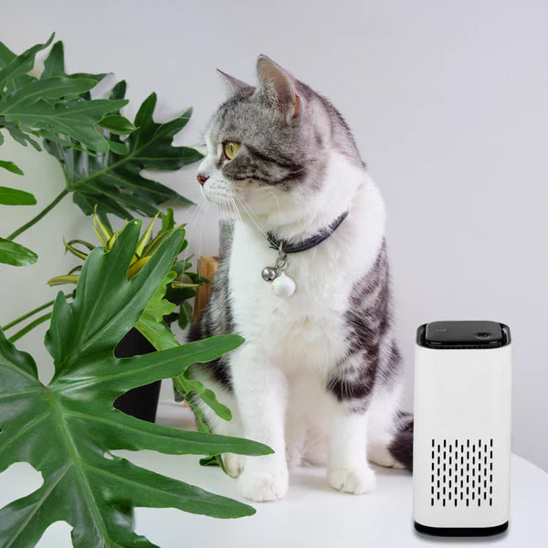 Pet Air Purifier/Filter