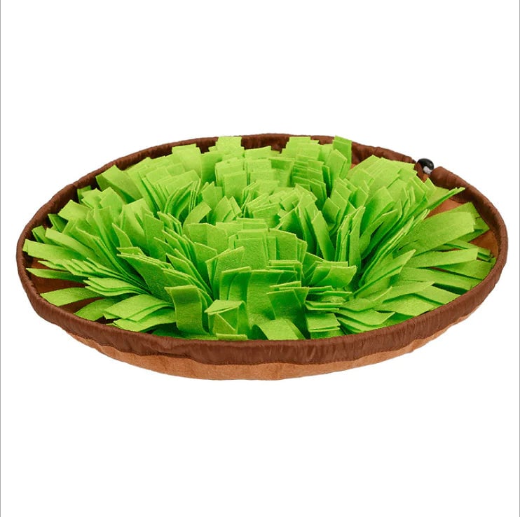 PawSmart Dog Snuffle Mat & Slow Feeder Bowl