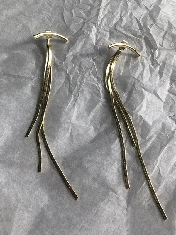 Solid Tasseled Shiny Eardrop