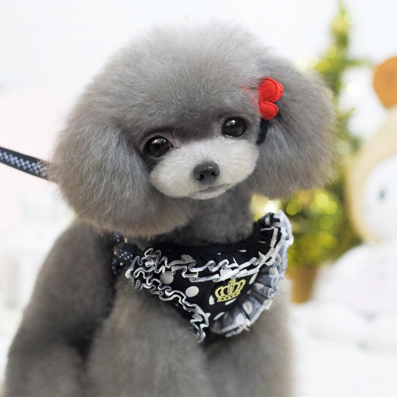 Small Pet Dog Collar