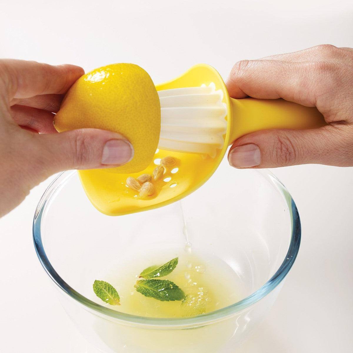 Citrus Reamer with Seed Catcher