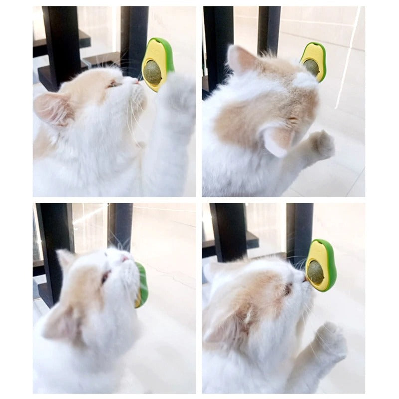 Avocado Catnip Wall Balls