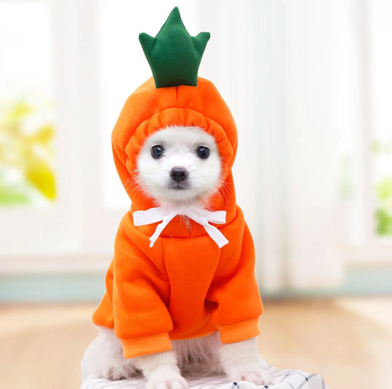 Puppy Dog Autumn And Winter Small And Medium-sized Dog Love Two-legged Cat Cute Pet Clothes Supplies