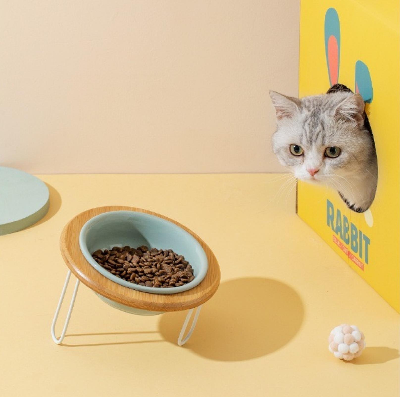 Height-Adjustable Ceramic Cat Bowls Small Dog Bowls with Bamboo Round Frame