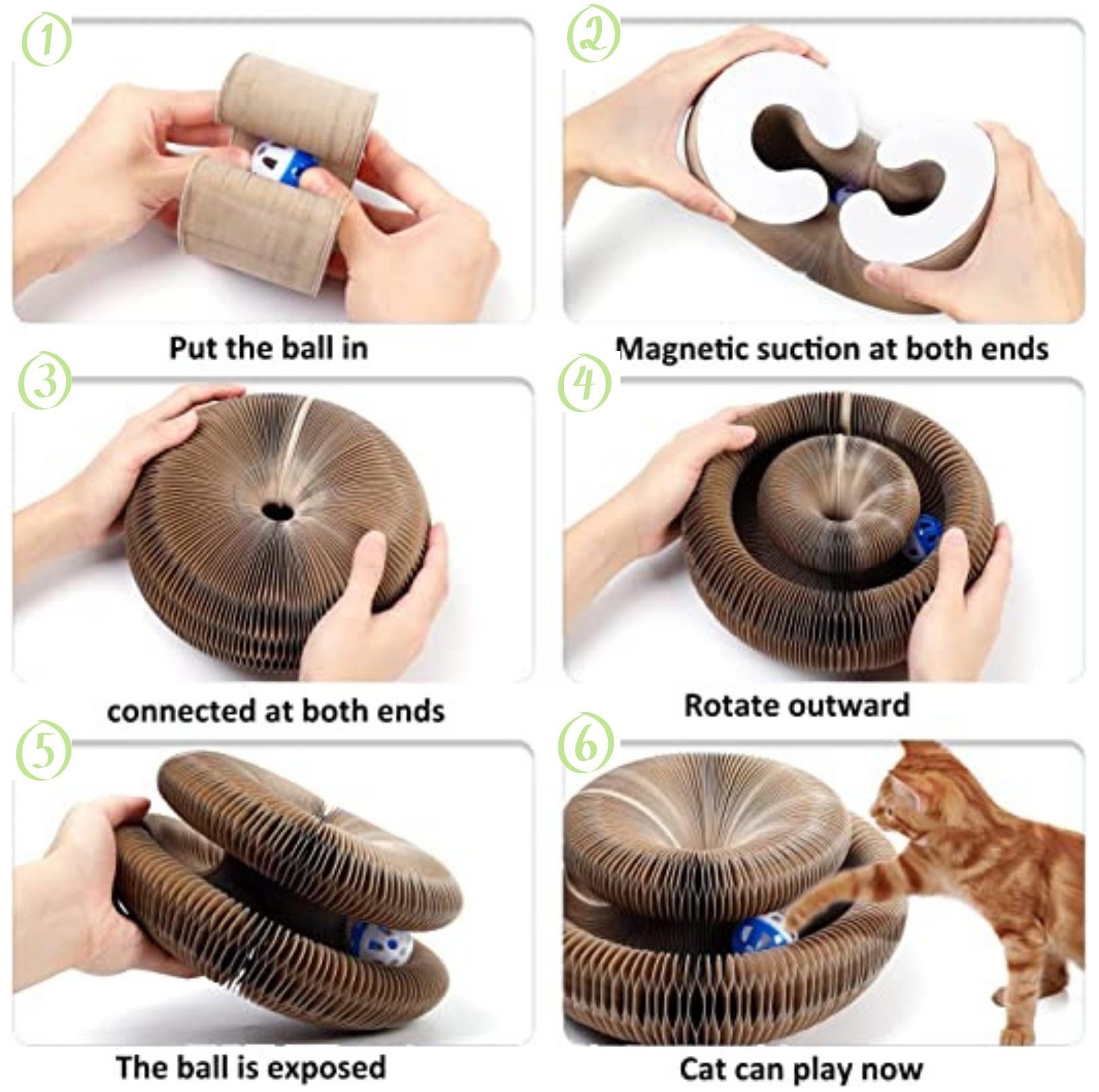 Magic Organ Cat Scratcher | Transformable Toy with Ball