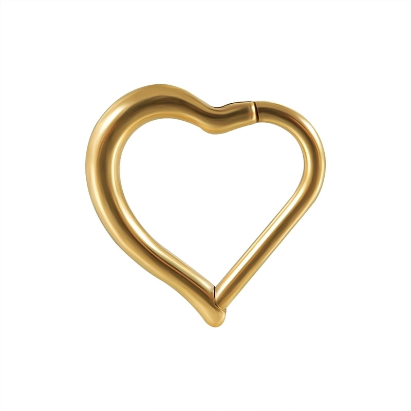 2 Pieces Ear Cartilage Rings & Studs Casual Vacation Minimalist Geometric Heart Shape 304 Stainless Steel Inlay Zircon 18K Gold Plated Lip Rings Ear Cartilage Rings & Studs