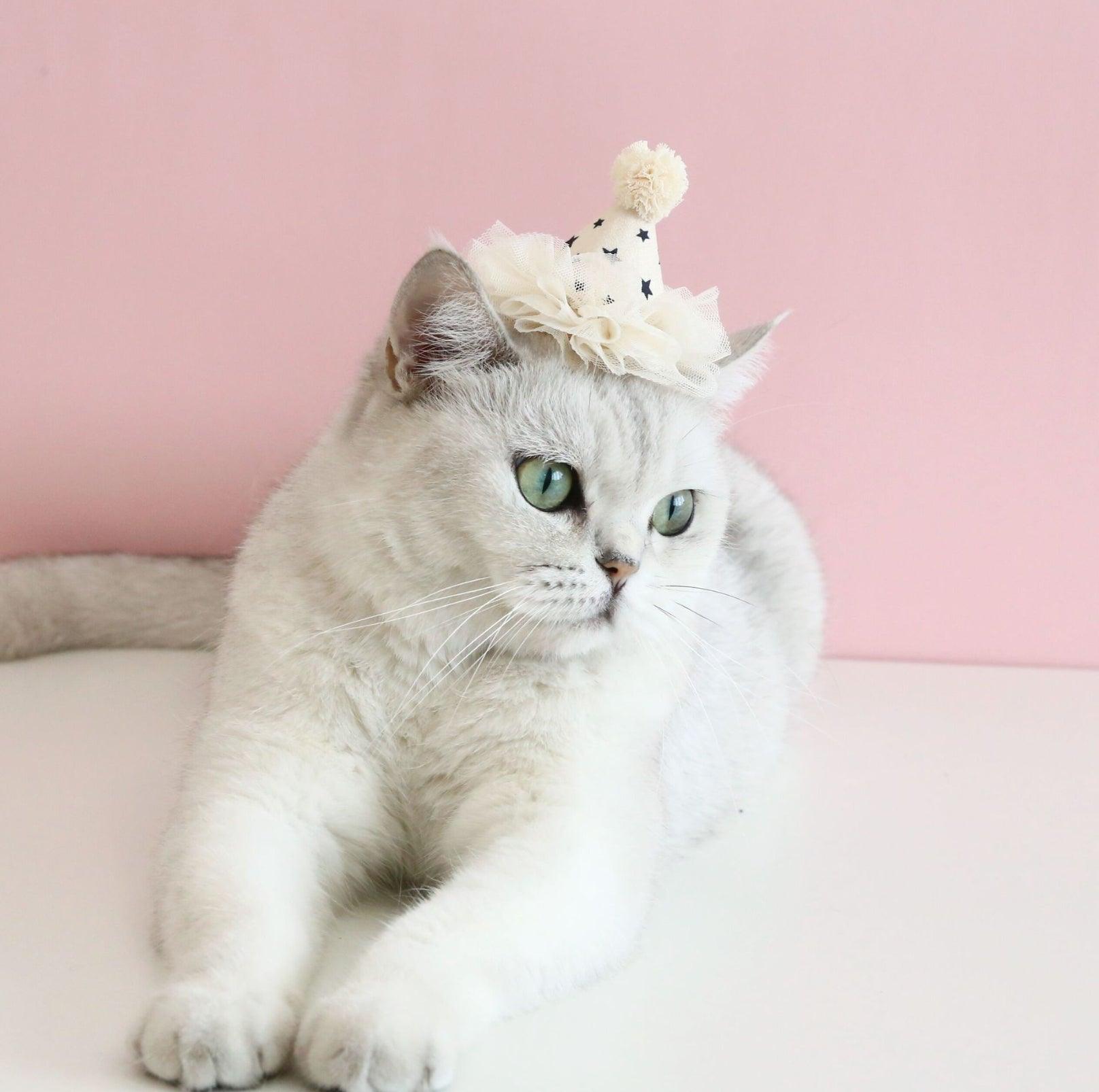 Pet Birthday Hat - Ultimate Party Gear for Pets