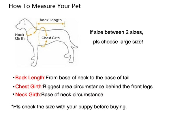 Rhinestone Necklace Dog Cat Collar