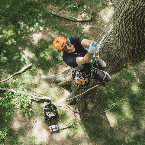 MS 194 T Top-Handle Chainsaw