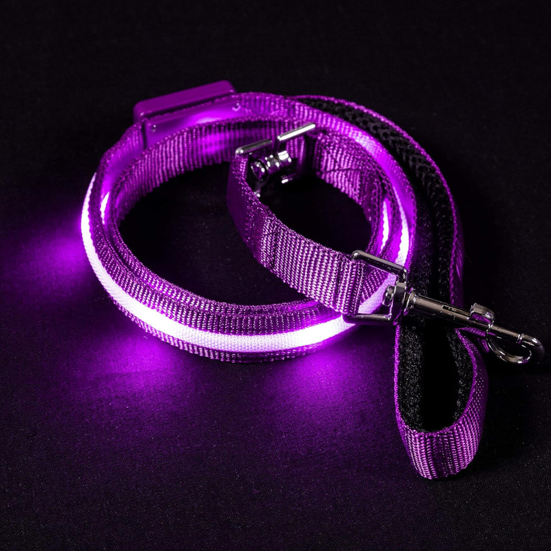 USB Rechargeable LED Pet Leash