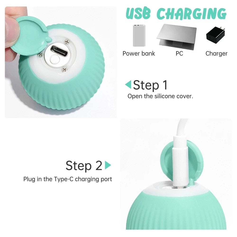 PetGenius Electric Ball Toy for Pets