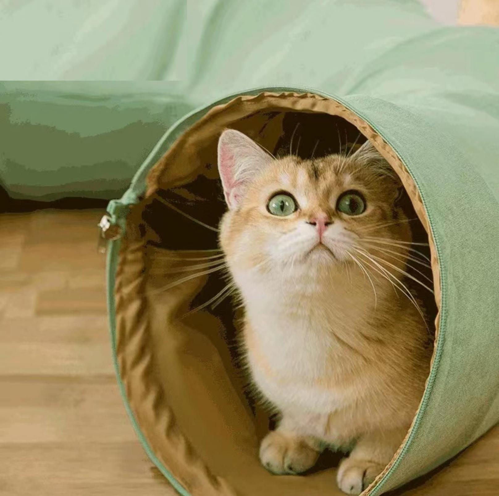 Multi-Functional Large Tunnel Cat Bed And Cat Toy