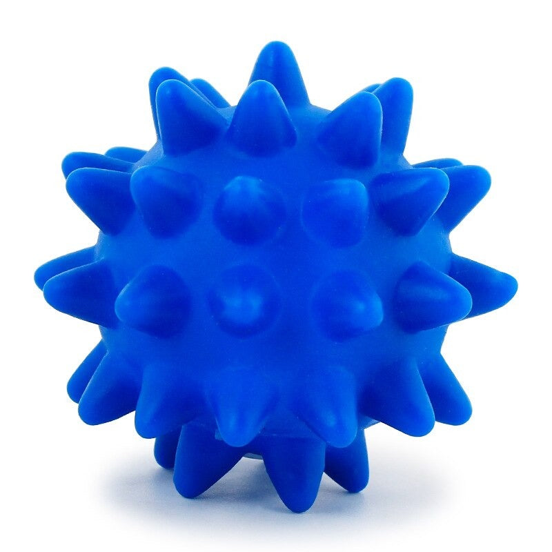 Dog Squeak Toys
