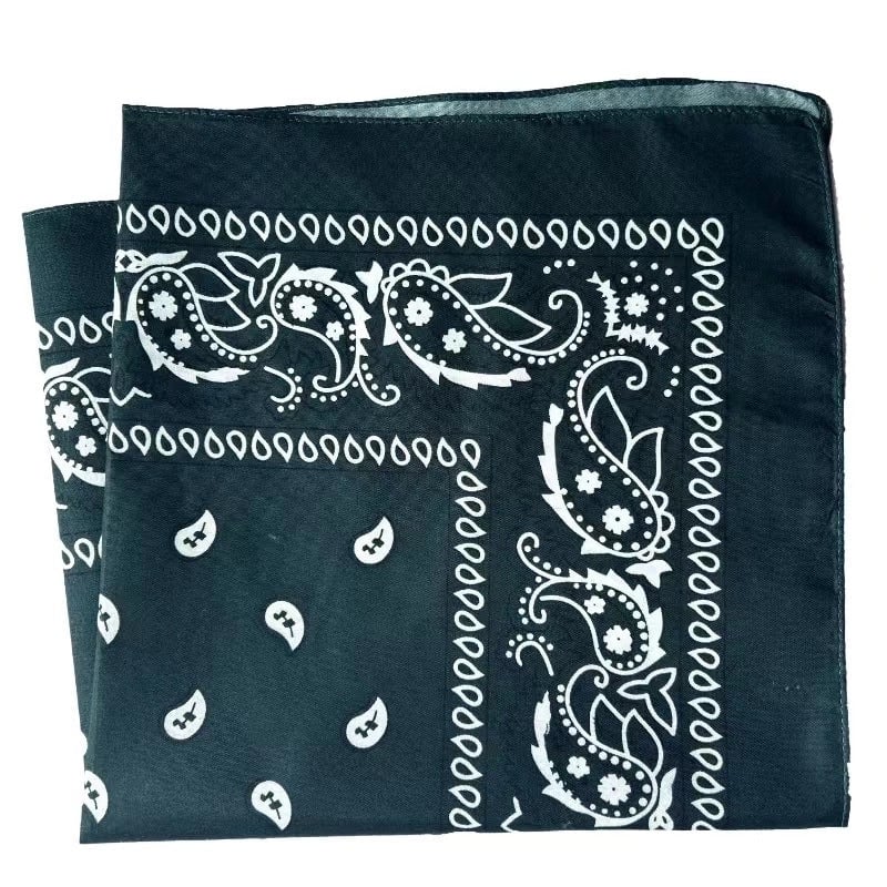 Unisex Hip-Hop Paisley Polyester Bandanas