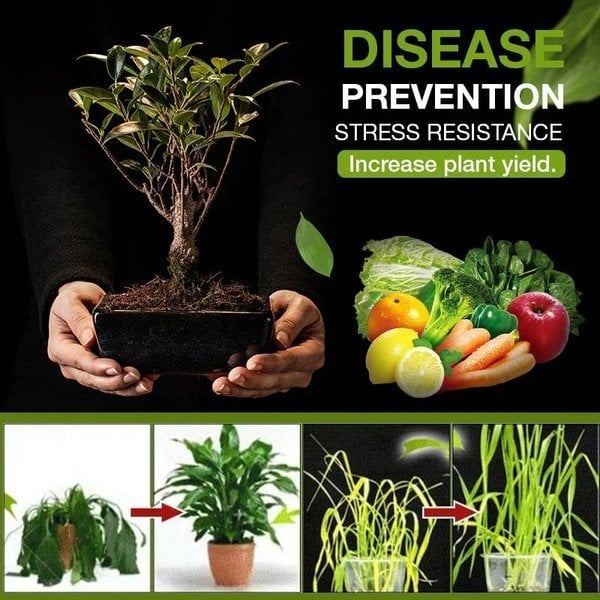 🔥  Promotion Save 49%🔥 Soil Revitalization Treasures -- Create the Perfect Garden