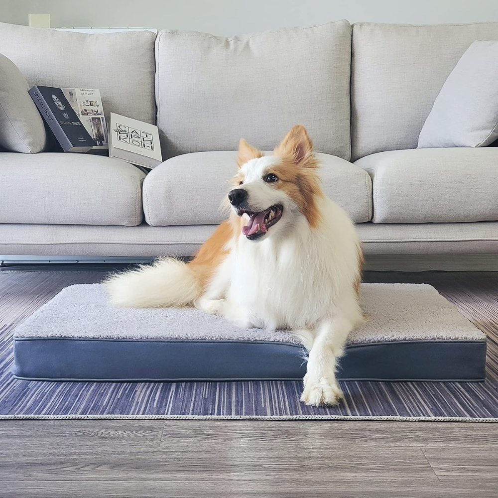 Waterproof Dog Bed With Washable Cover