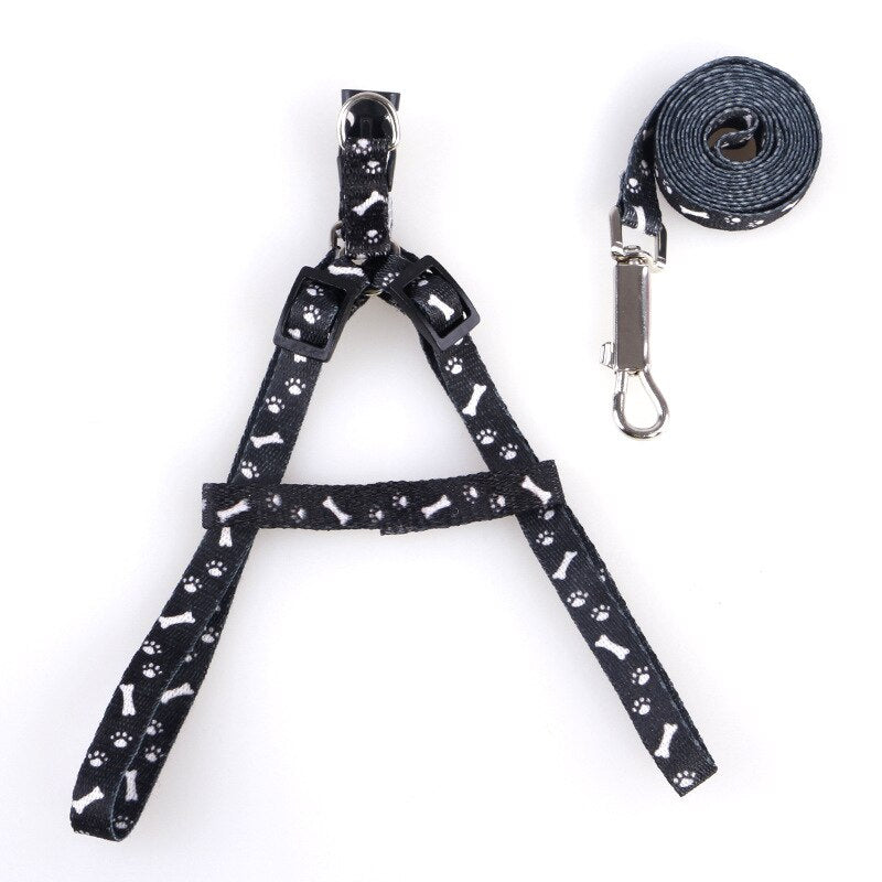 Adjustable Nylon Dog Leash and Harness Set