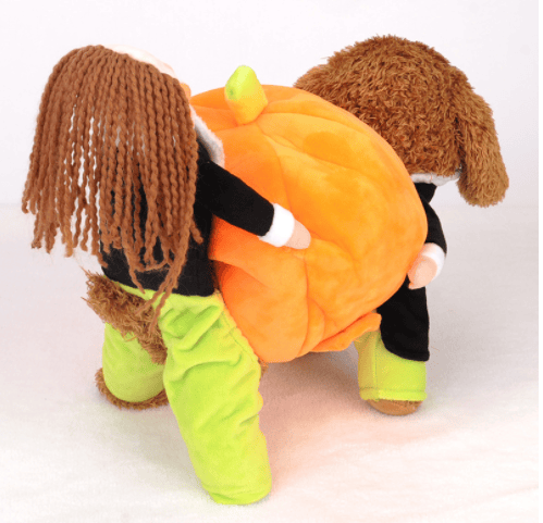 (🎃HALLOWEEN PRE SALE - 49% OFF) Pet Dog Pumpkin Halloween Costume🐶Halloween With Your Pet!