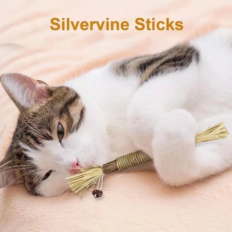 Minimalist Classic Style Wood Solid Color Pet Toys