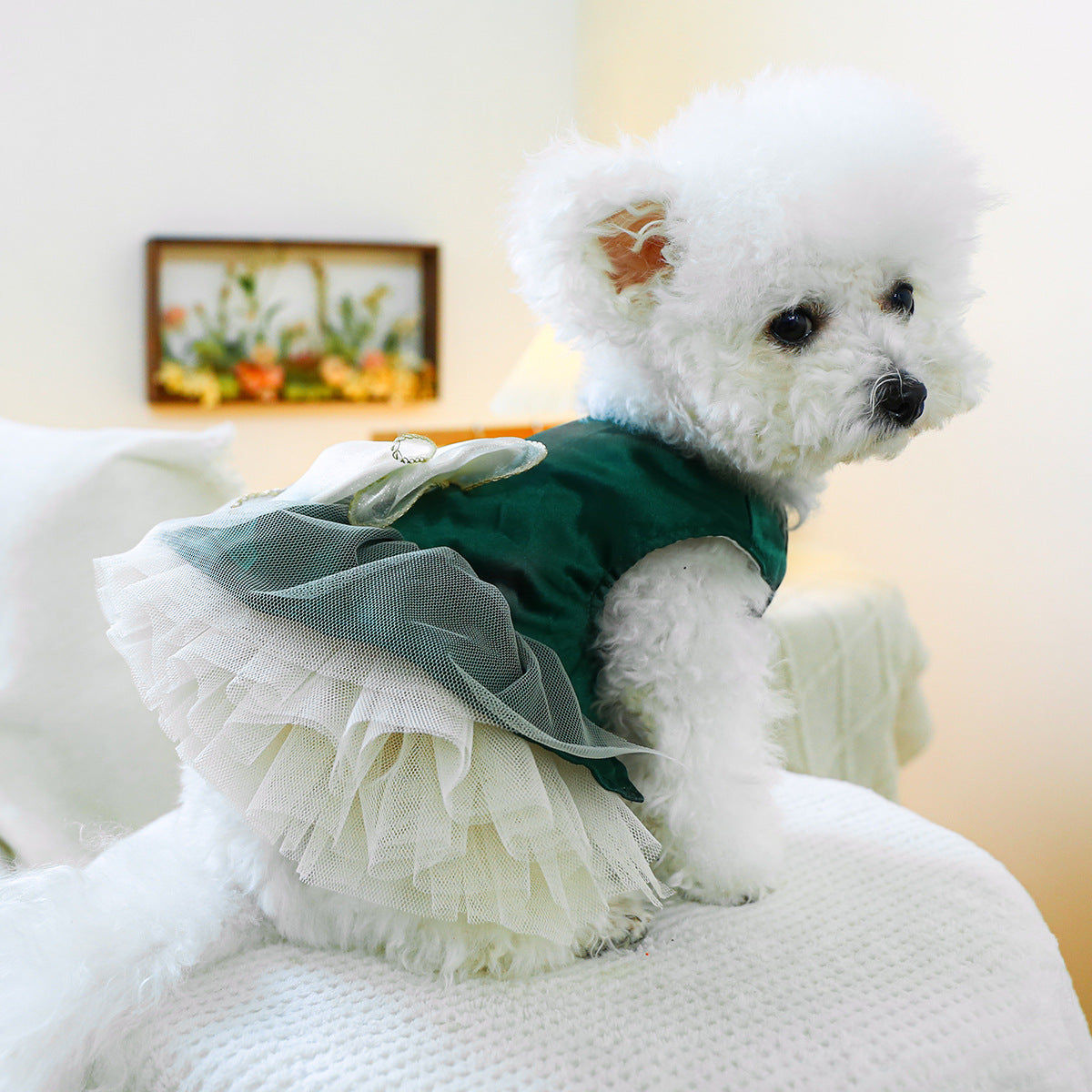 Lace Dog Cat Princess Wedding Dress