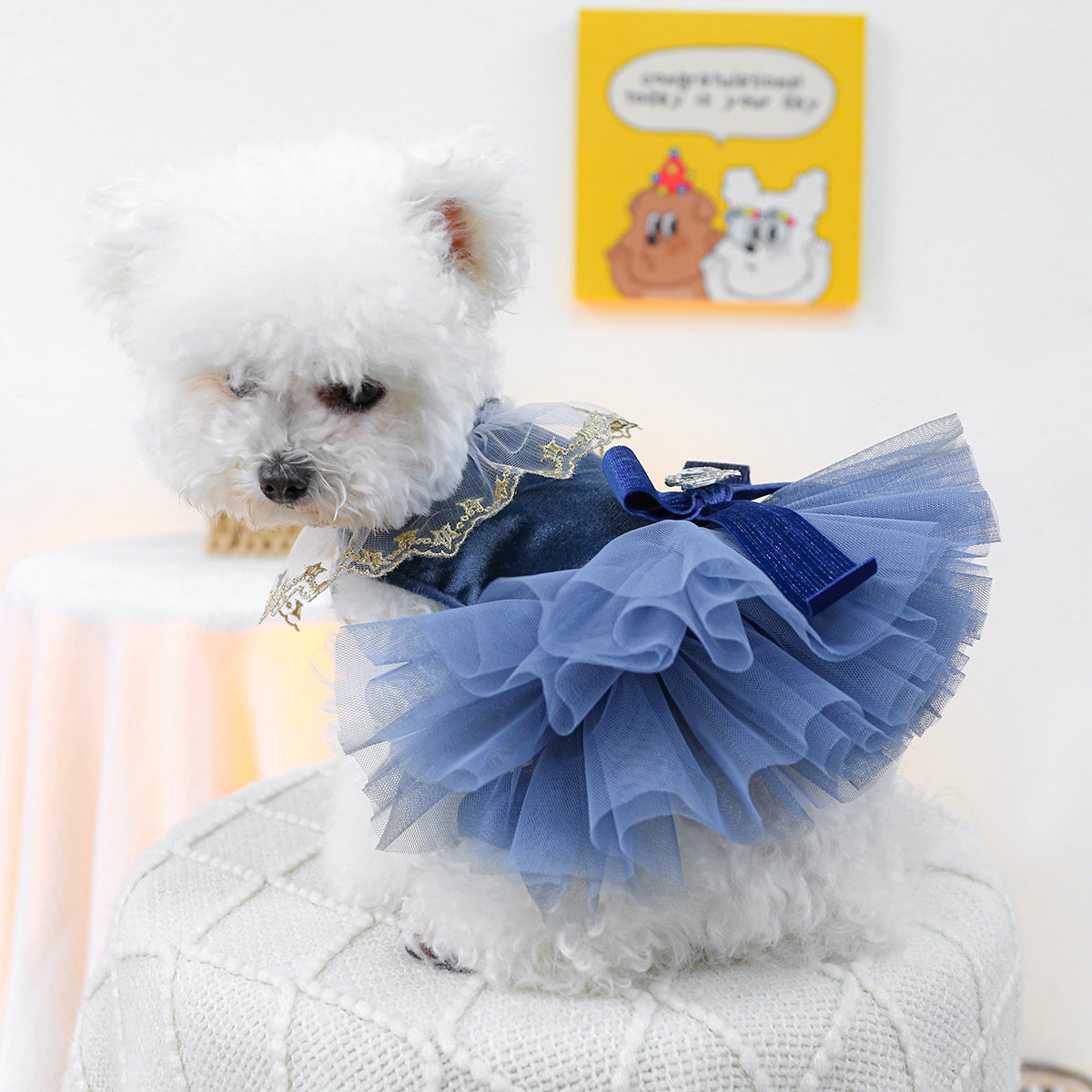 Crown Star Lace Dog Cat Princess Dress